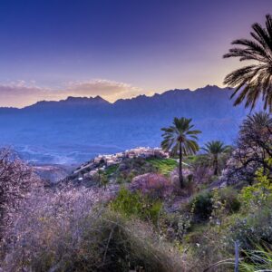Classic Muscat Half-Day Tour